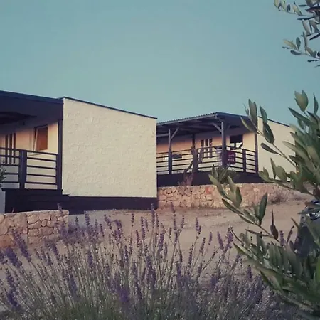 Mobile Tiva Apartment Drage